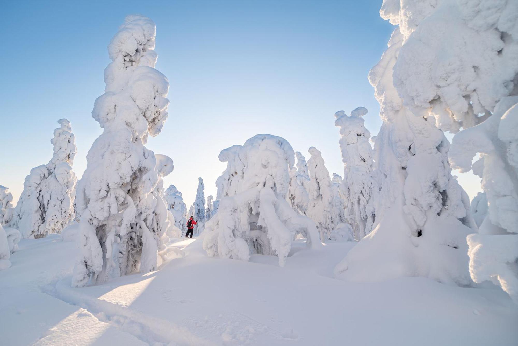 Napapiirin Jaervilomat Hotell Luukonniemi Exteriör bild