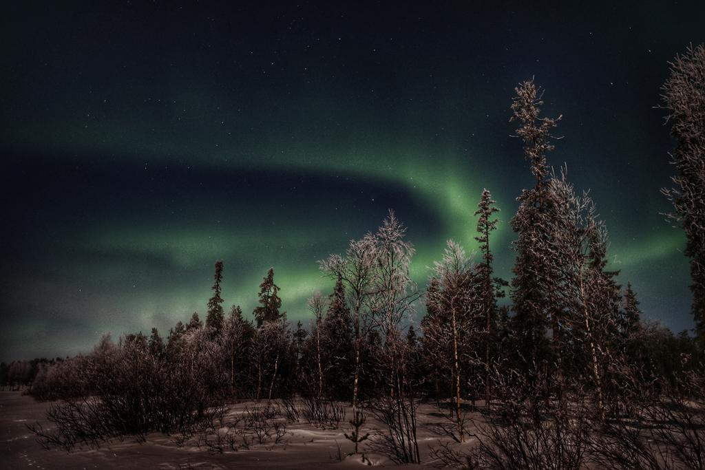 Napapiirin Jaervilomat Hotell Luukonniemi Exteriör bild